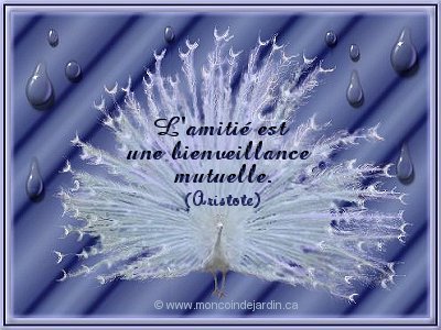 L'essence de l'amitié est la confiance.